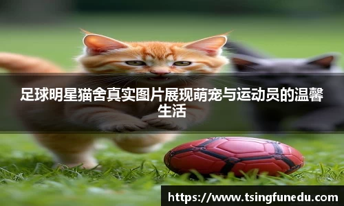 利来w66ag旗舰厅