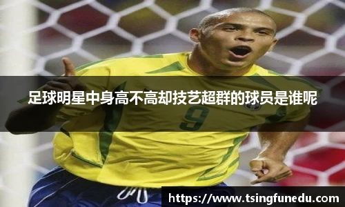 利来w66ag旗舰厅