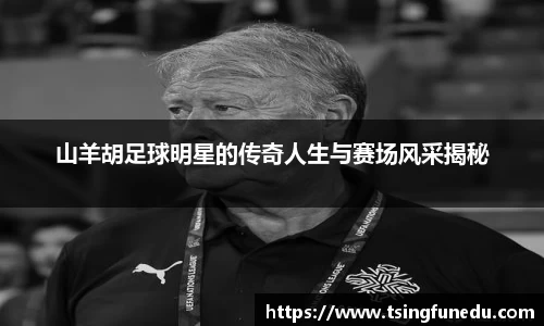 山羊胡足球明星的传奇人生与赛场风采揭秘